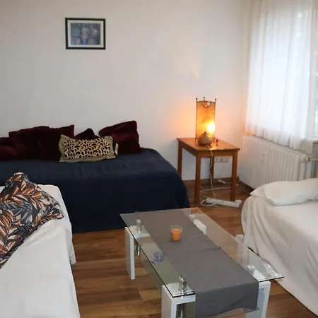 City 2- Flat Near Uni And Limbecker Platz Apartment